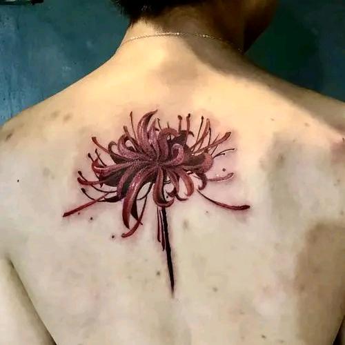 ☆ ҉. ♡‧₊晚风 ♡ ҉☆