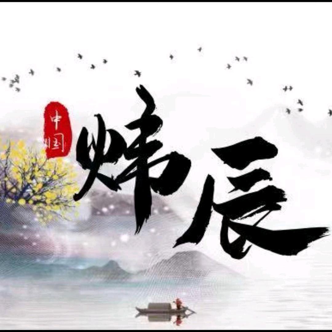 炜辰杨老师