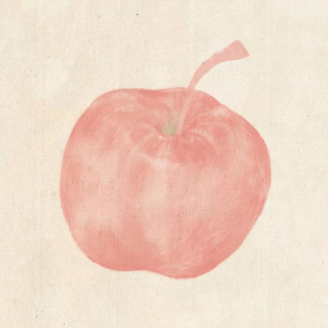 一只🍎