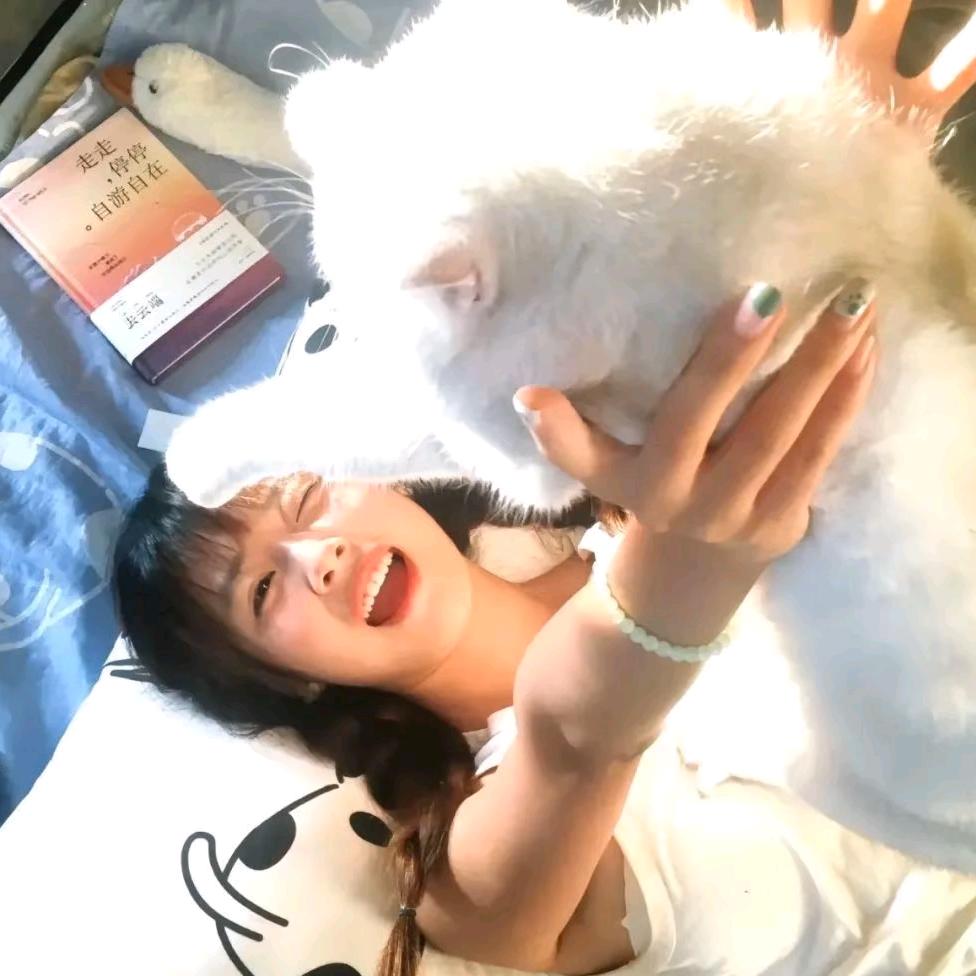 猫不理.