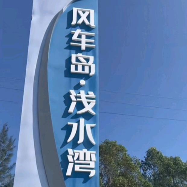 陈振东6858