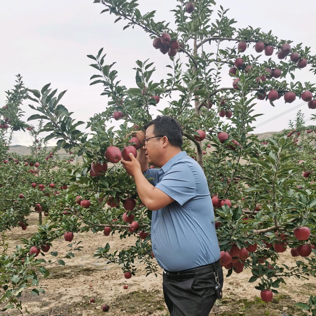 花牛苹果之乡欢迎你