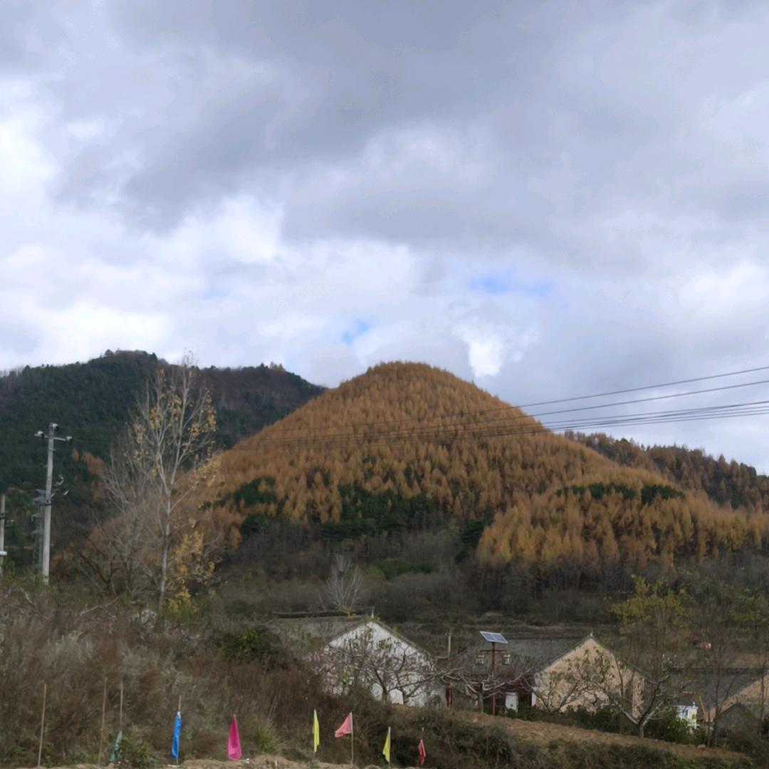 幸福💞你我