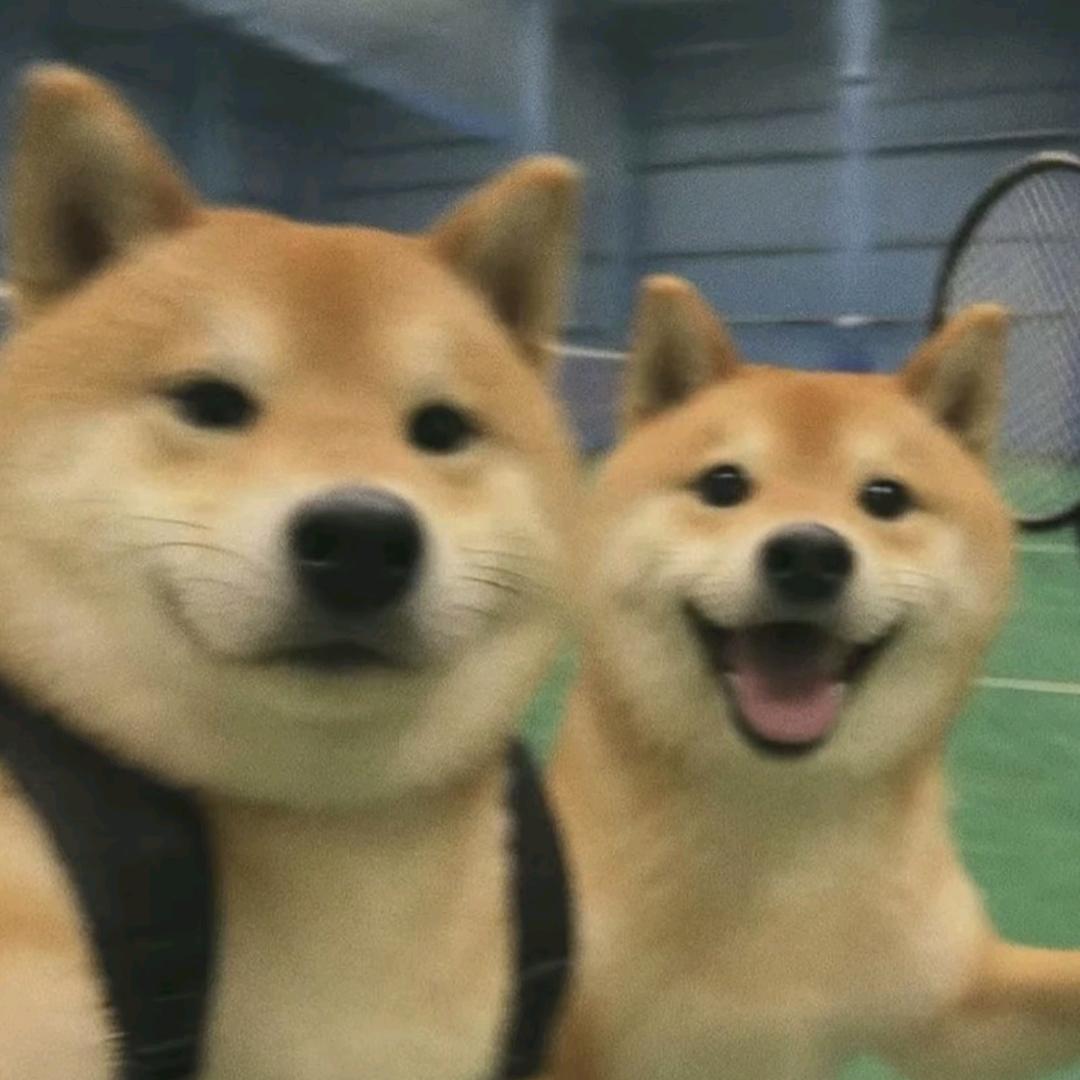 明念