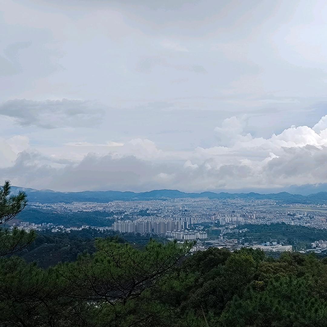 用户已刷新