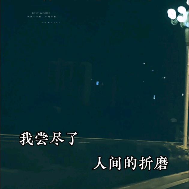 赵释然