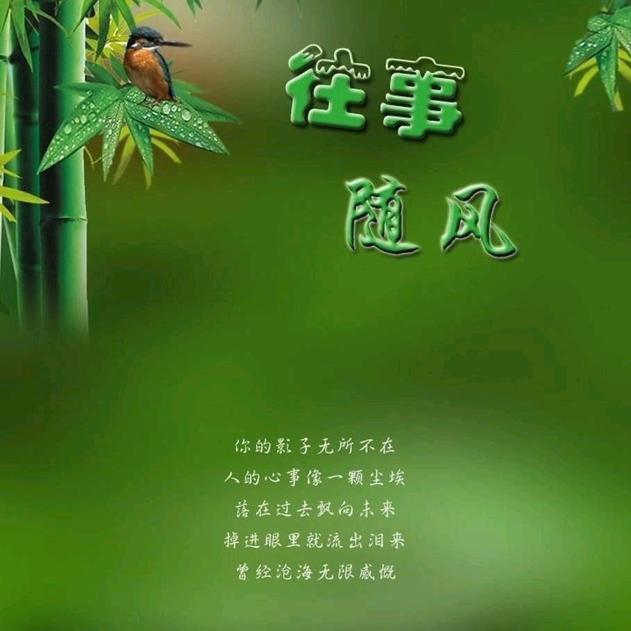 往🌾事🌾随🌾风