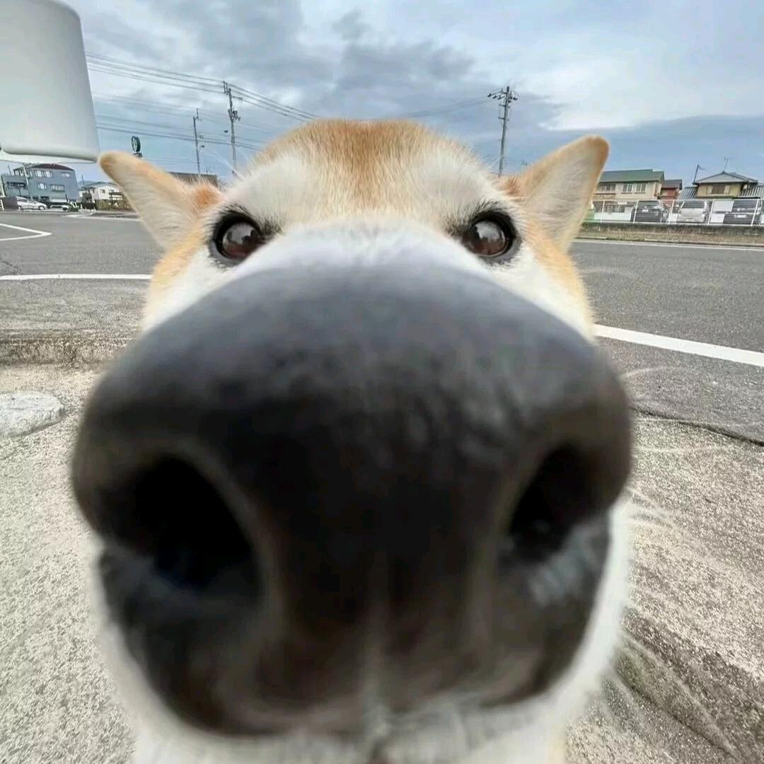 小公主