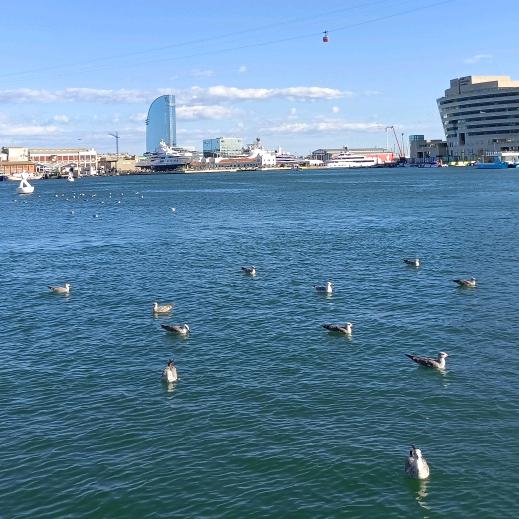 流年岁月