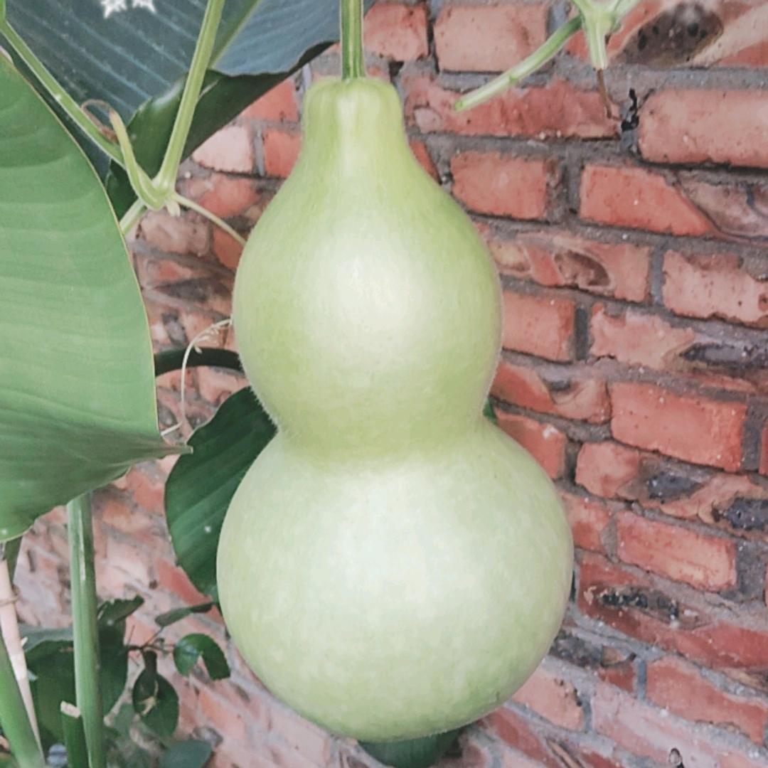 @相濡以沫