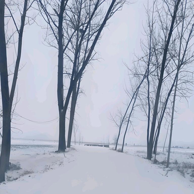 家乡的冬夏春秋