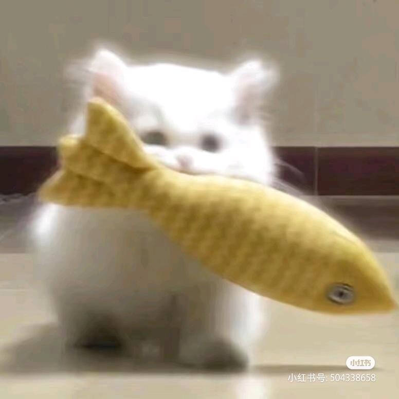 下雨了