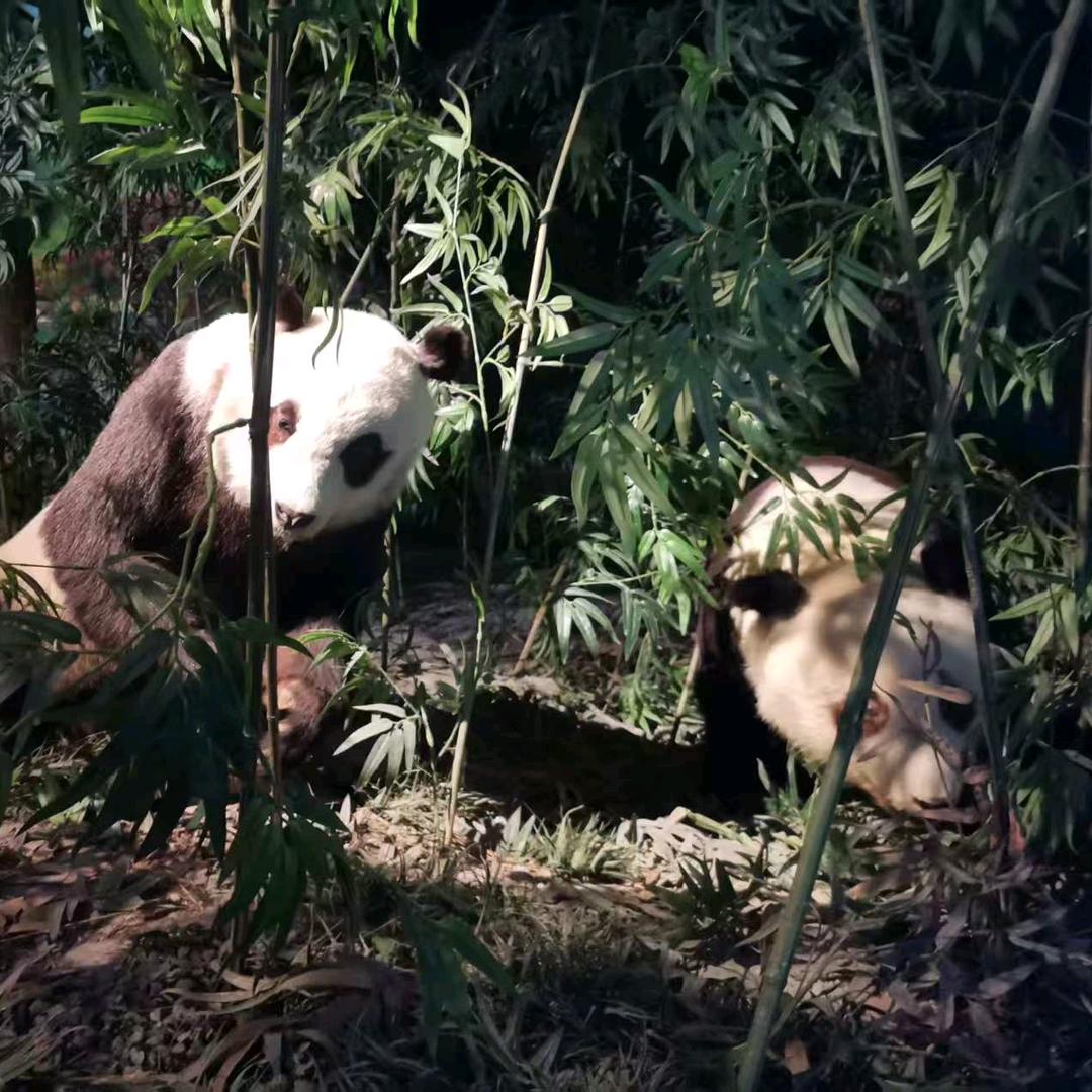 🐐¹⁰.₁₅赵℘࿐