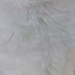 好雨知时节