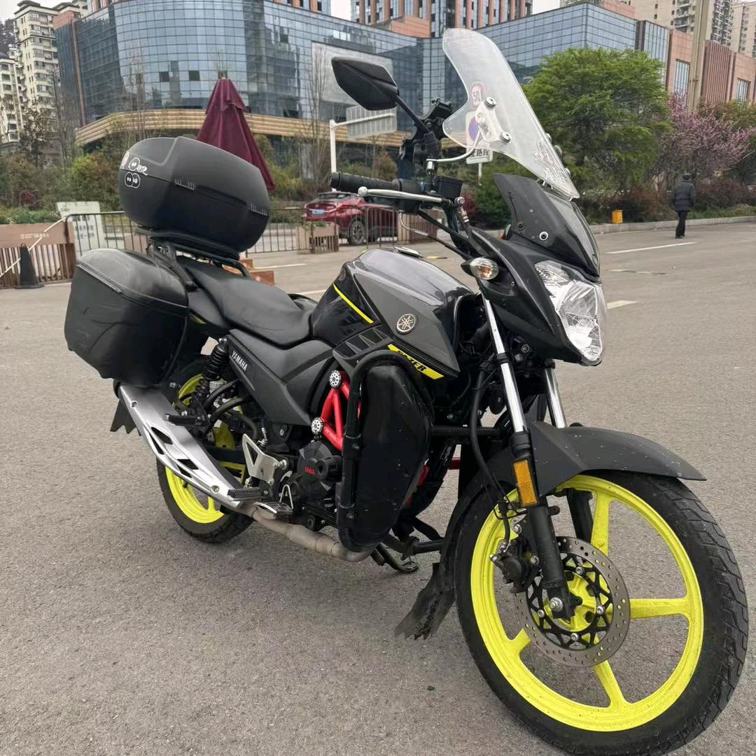 黑熊老师