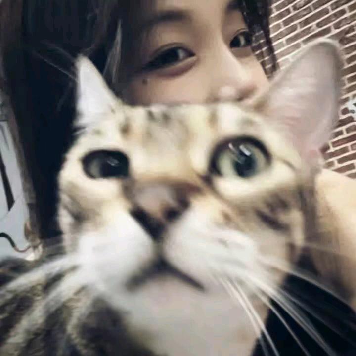 洋意