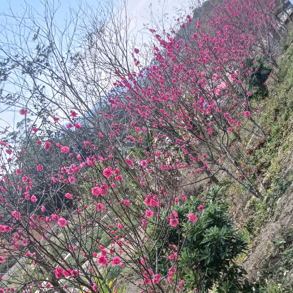 惠姐