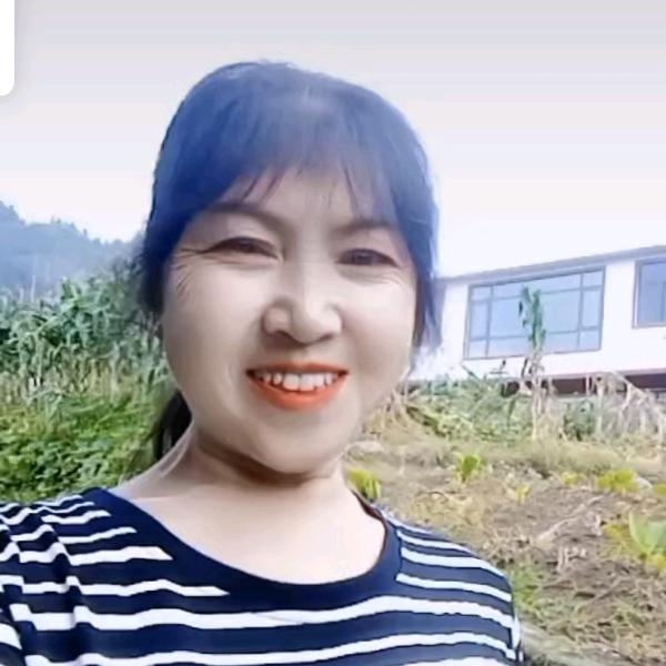 顺顺利利