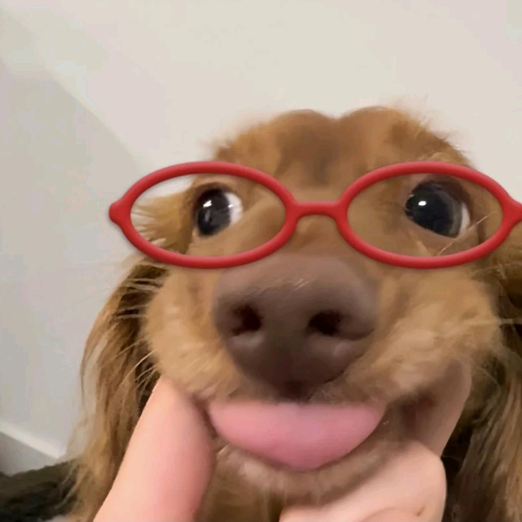 慧不慧