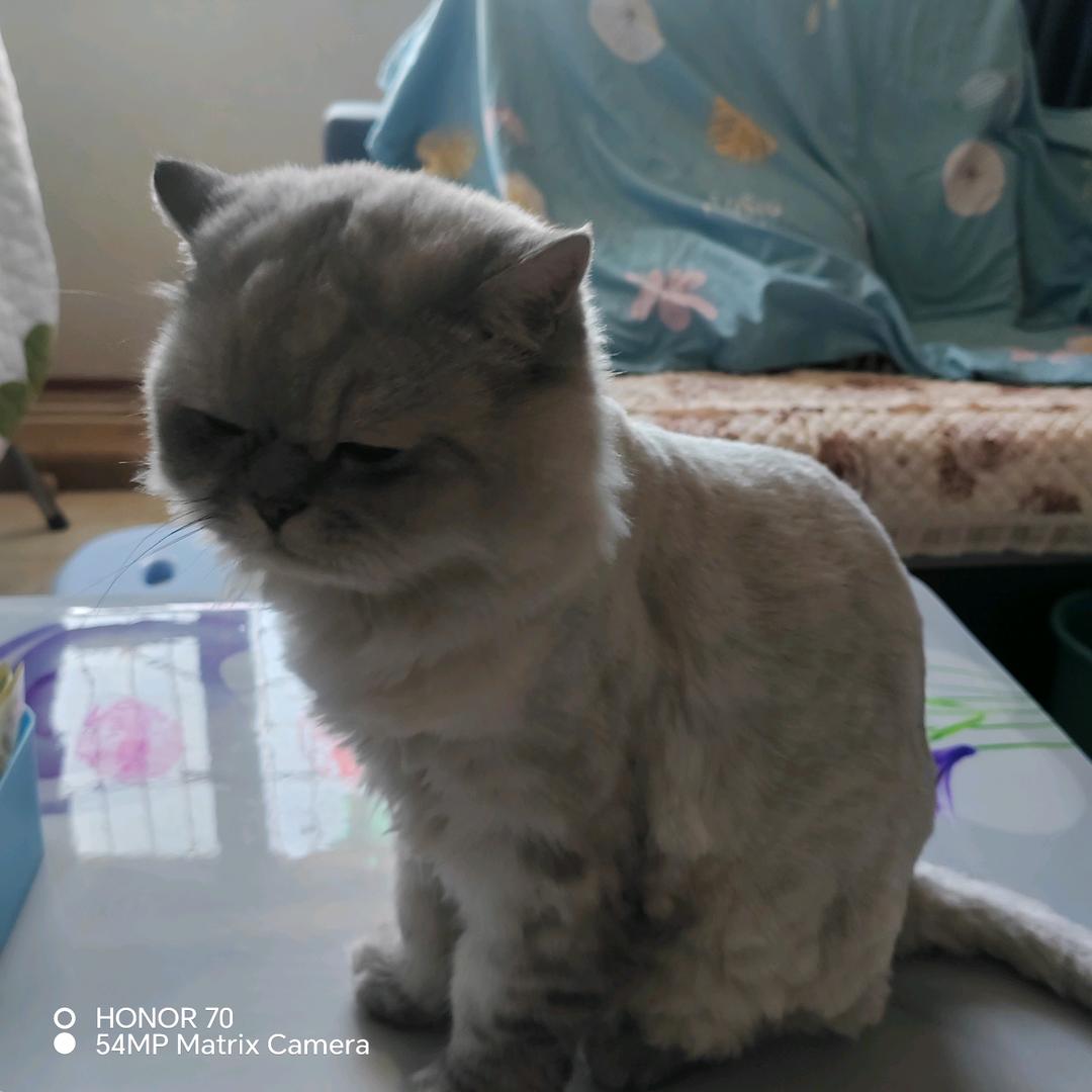 阿克陶石材课代表