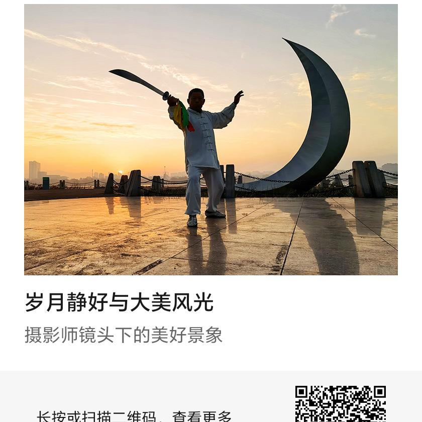 单身荷花