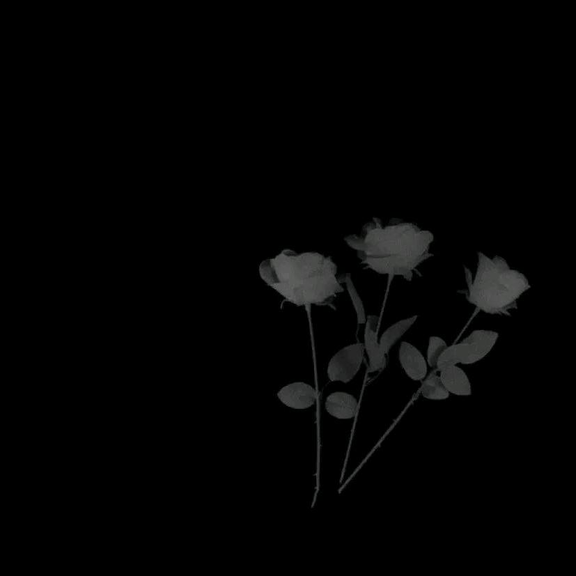 用户58693258706415