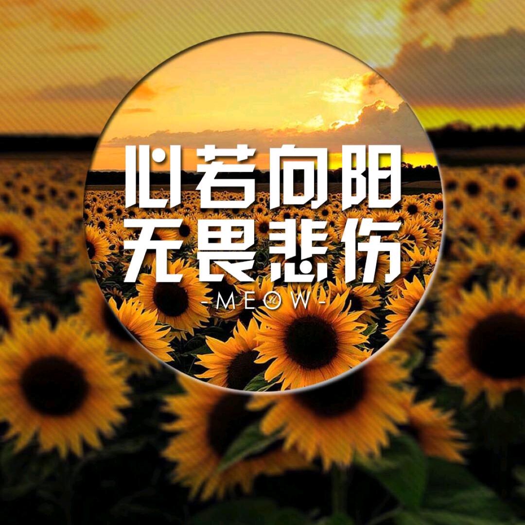 吥惪