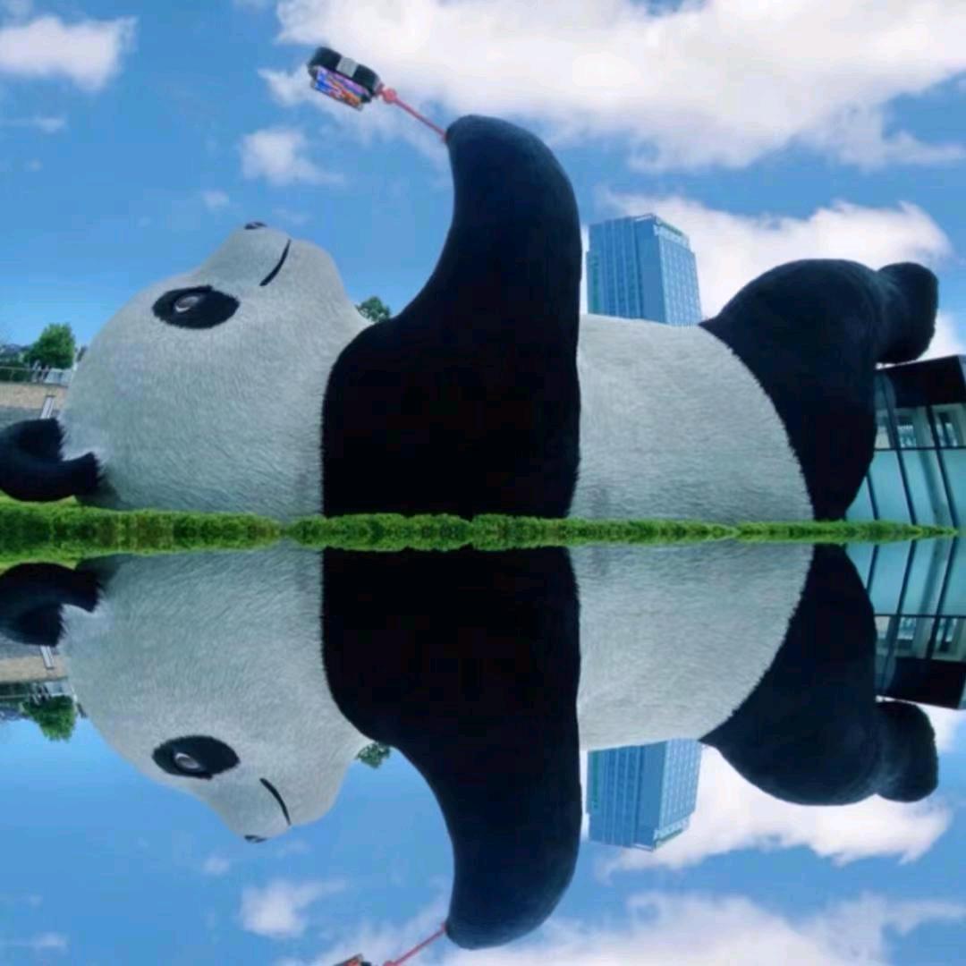 青城山都江堰(旅行管家小玉)