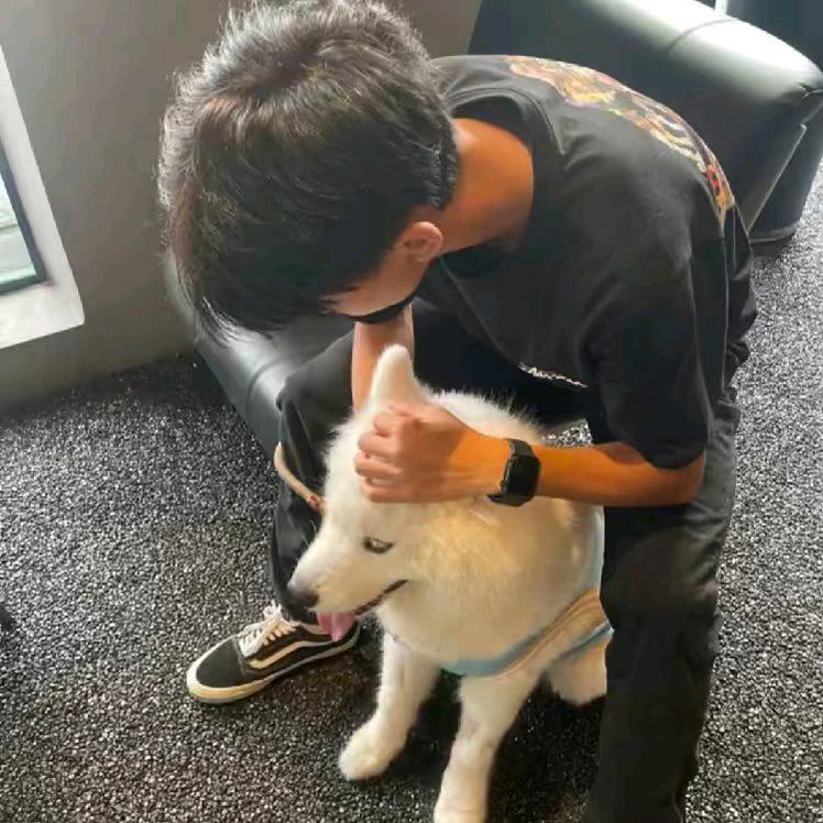 李泽泽