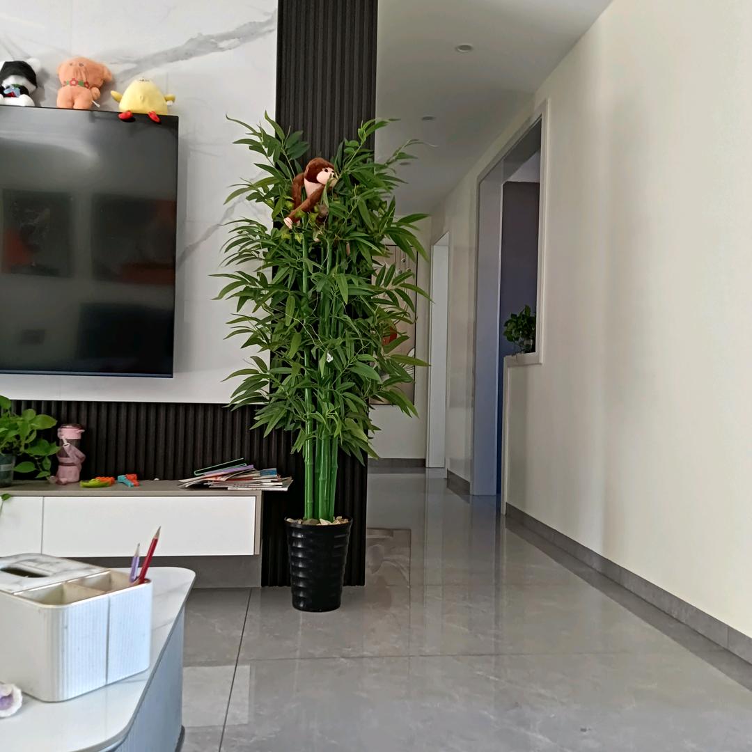 往事如梦🌴🌴🌹🌹