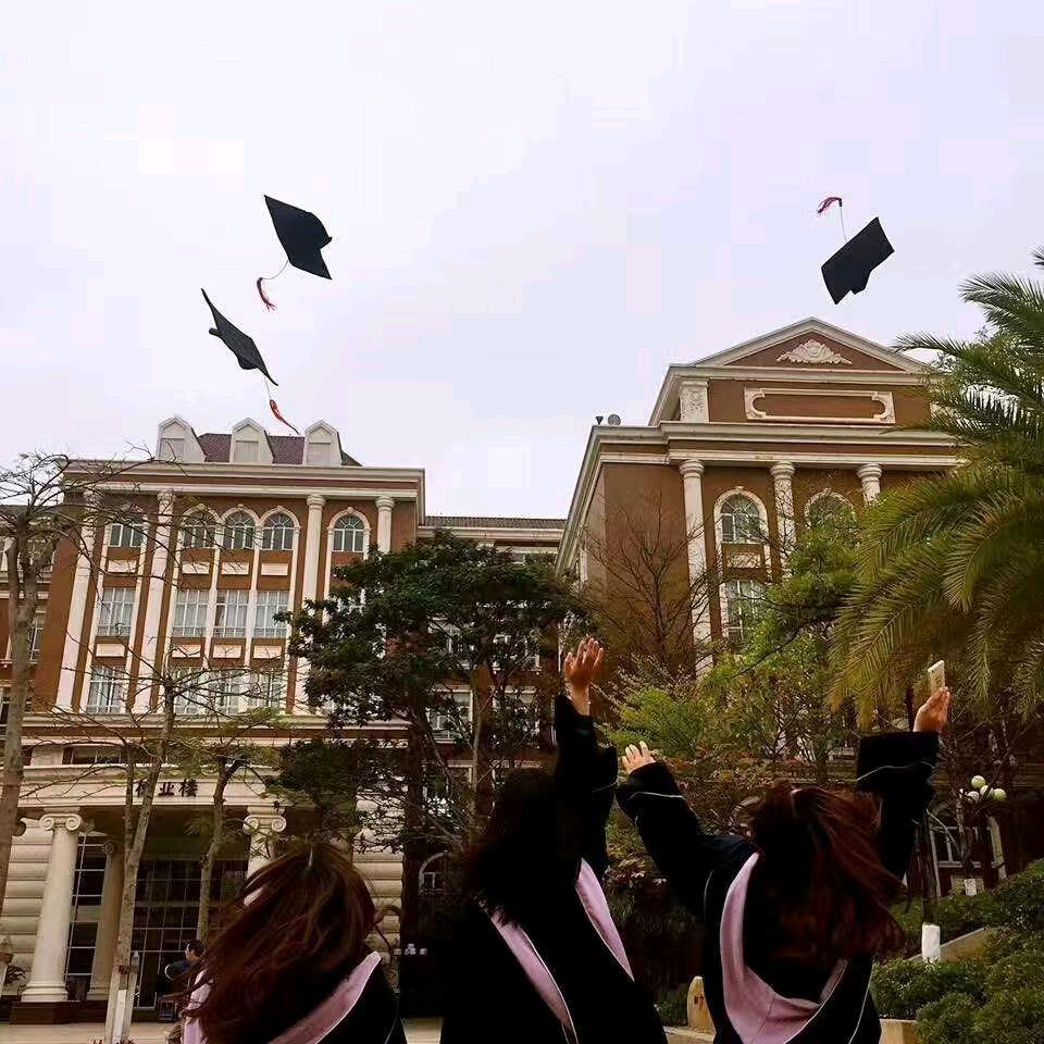 学上教育（深户升学专本硕博）