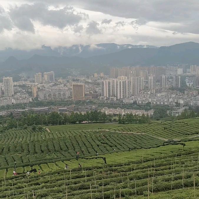 贵州农家菜