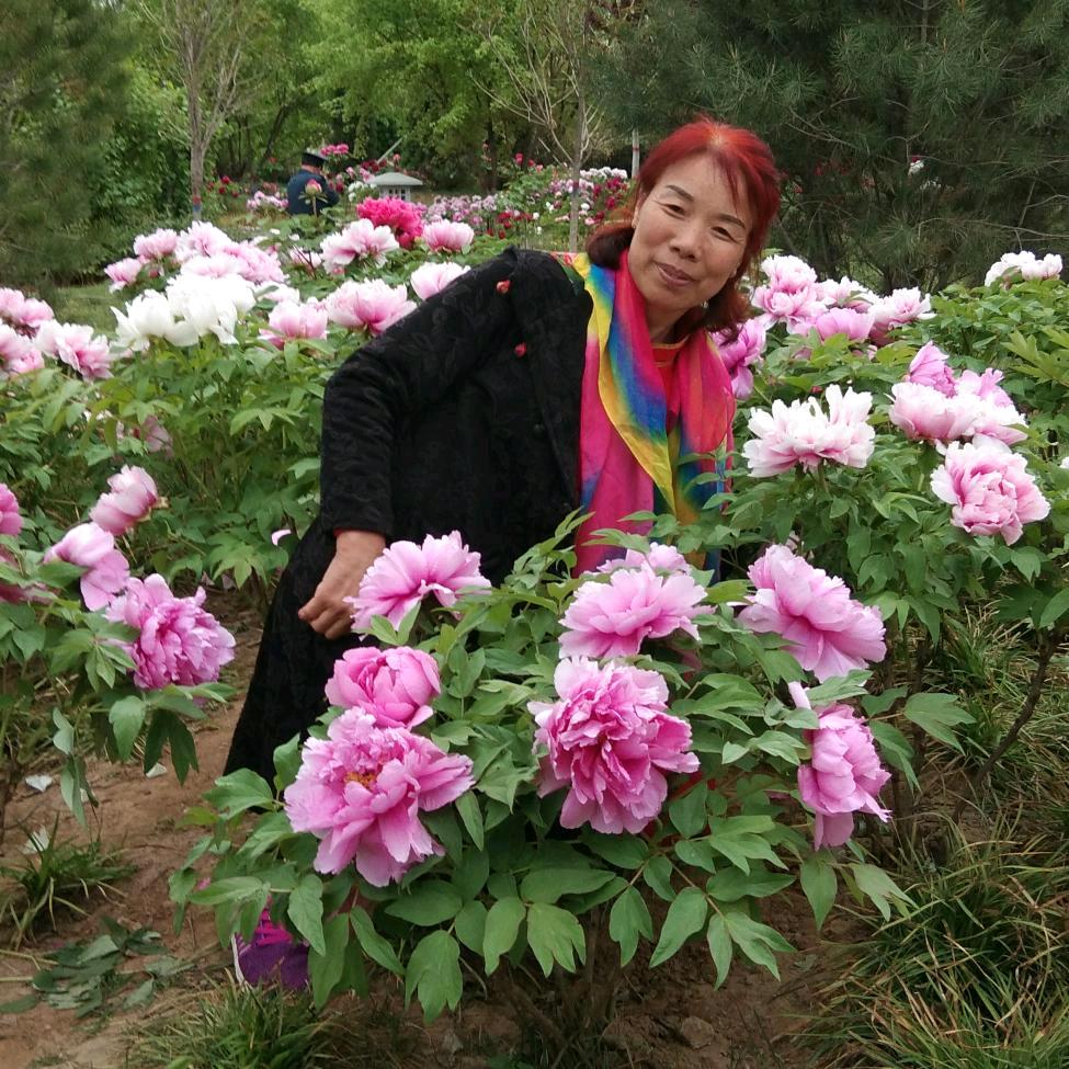 好心情郭姐《好物在橱窗》