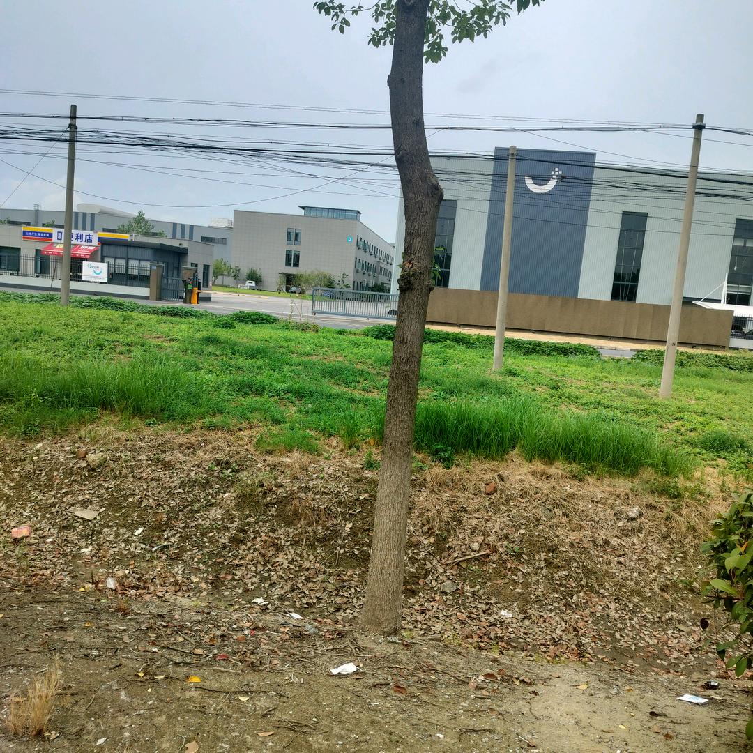 承诺