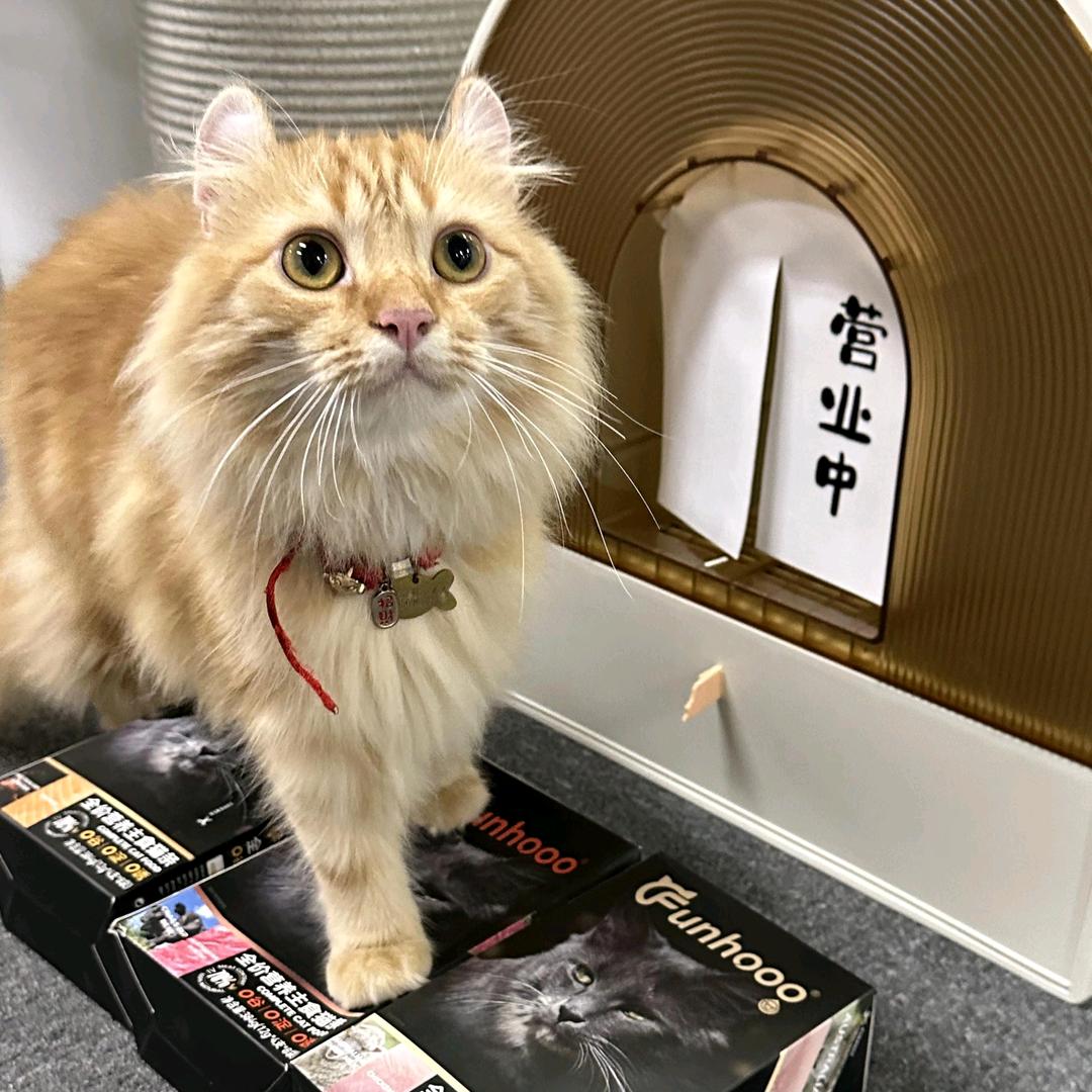 梵琥宠物旗舰店