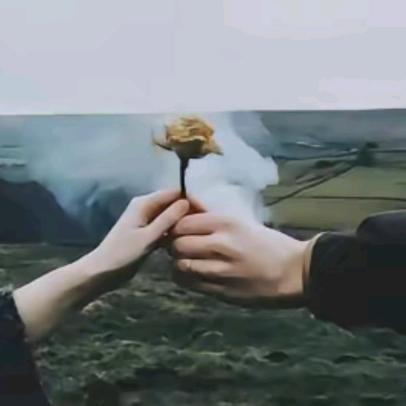 木西木西