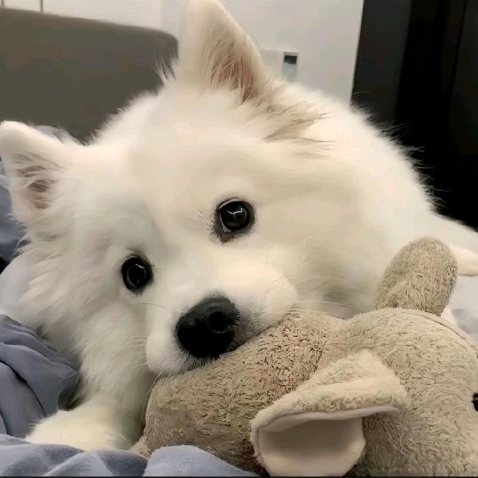 今天有开心吗#42864