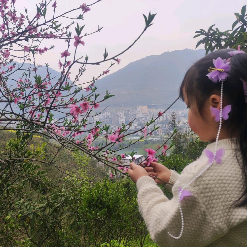 এ᭄🐷承诺吖ོ