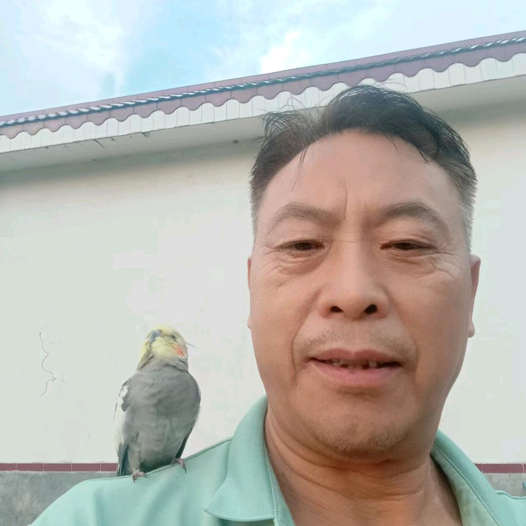 张歌