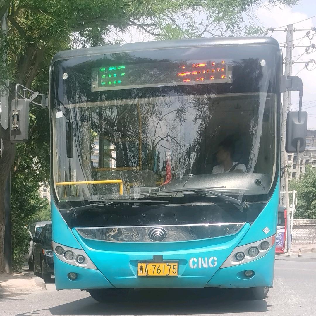 我弟弟是李陈野