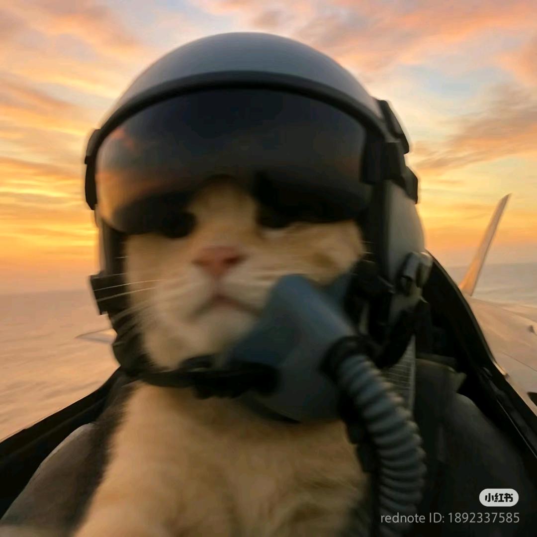 九州国际酒店范范