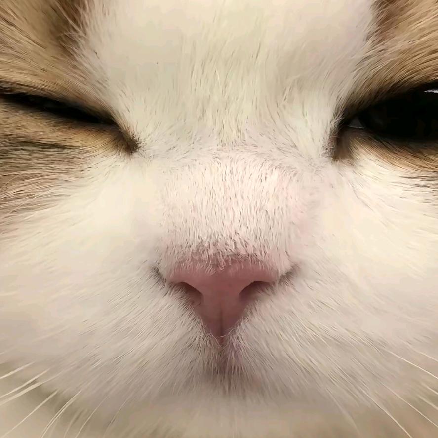 等雨