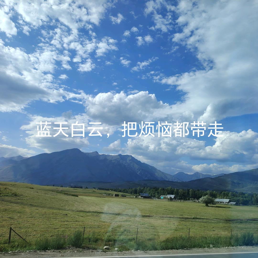 宋宋