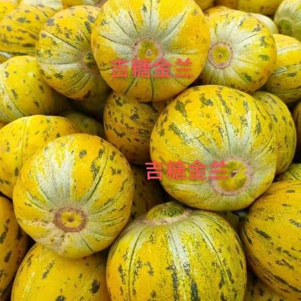 小刘果蔬代办（产地直供）