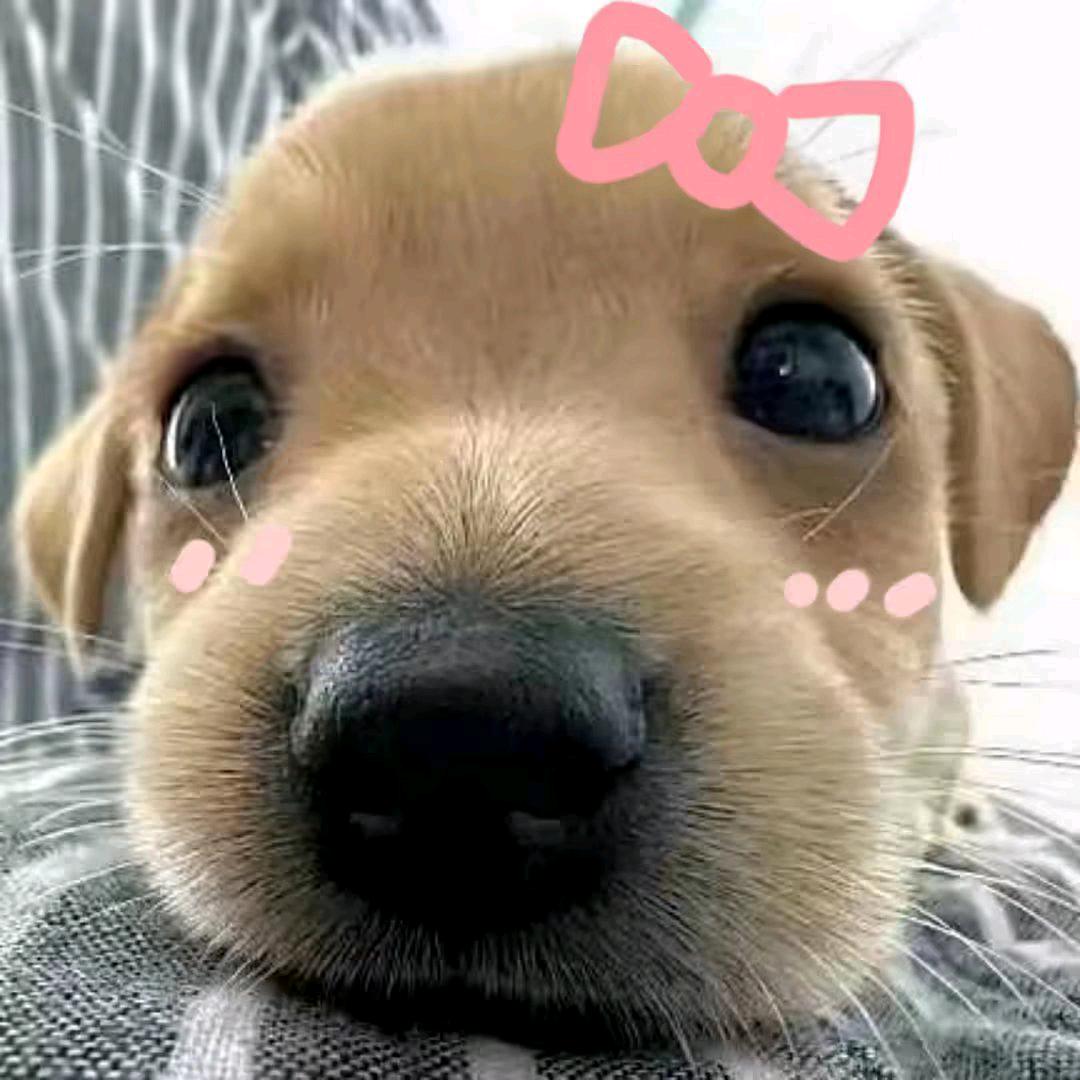 LFY