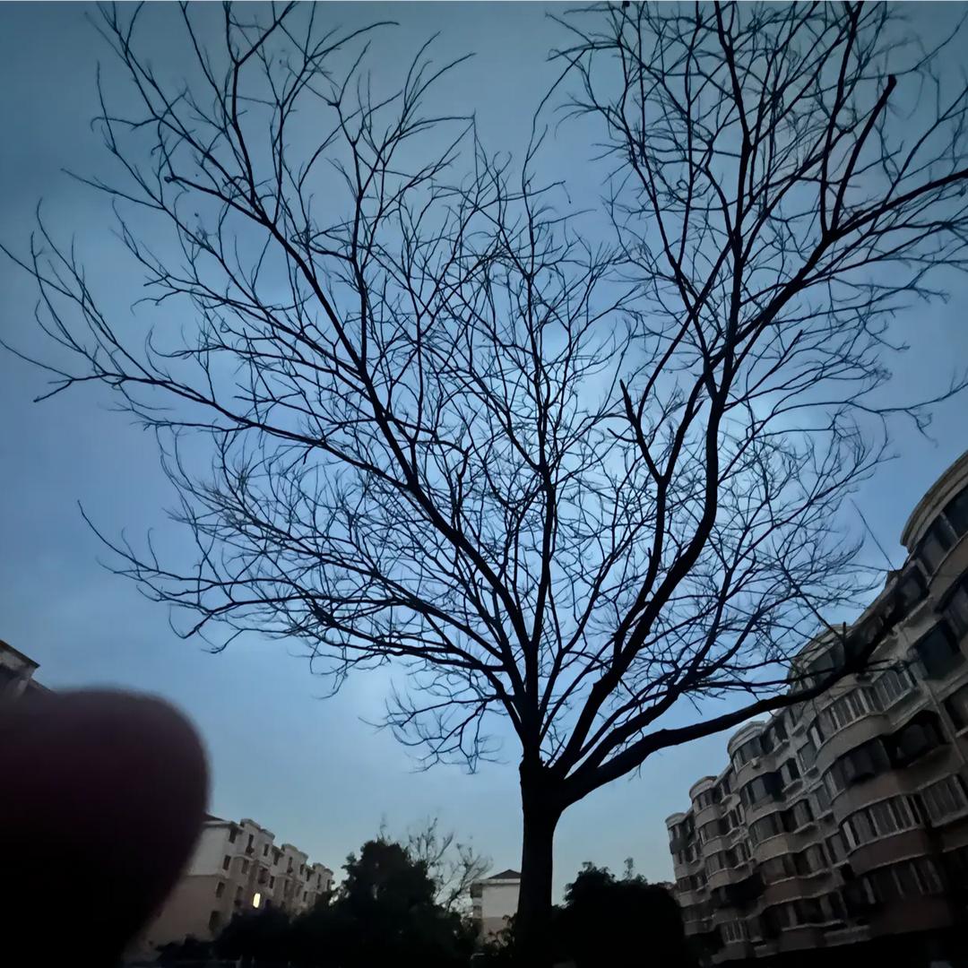 灰色的日落