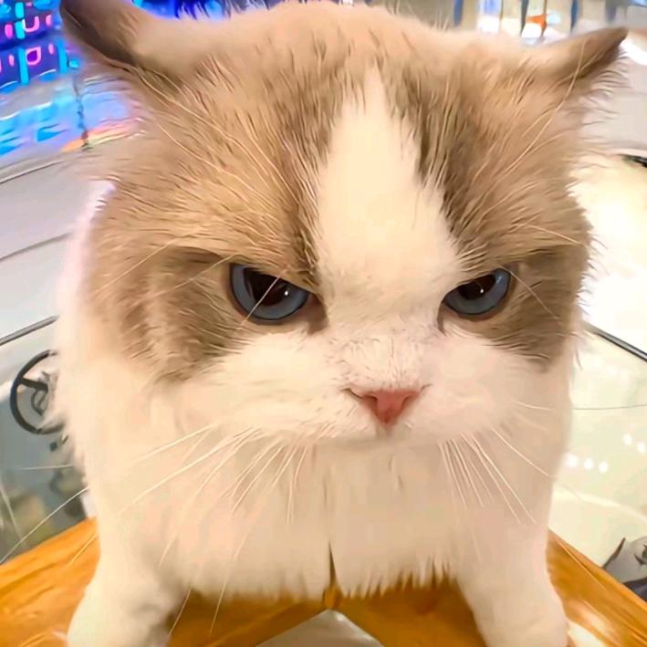 ㅤ▶  ||ı|ı||lıı 97＂