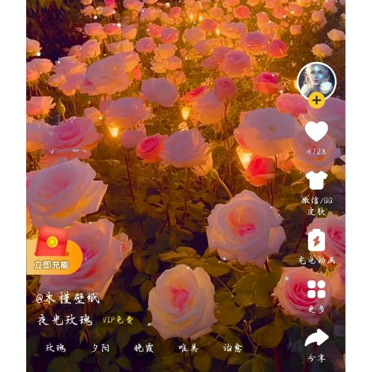 命🔔注定: