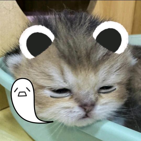 天天犯困😴