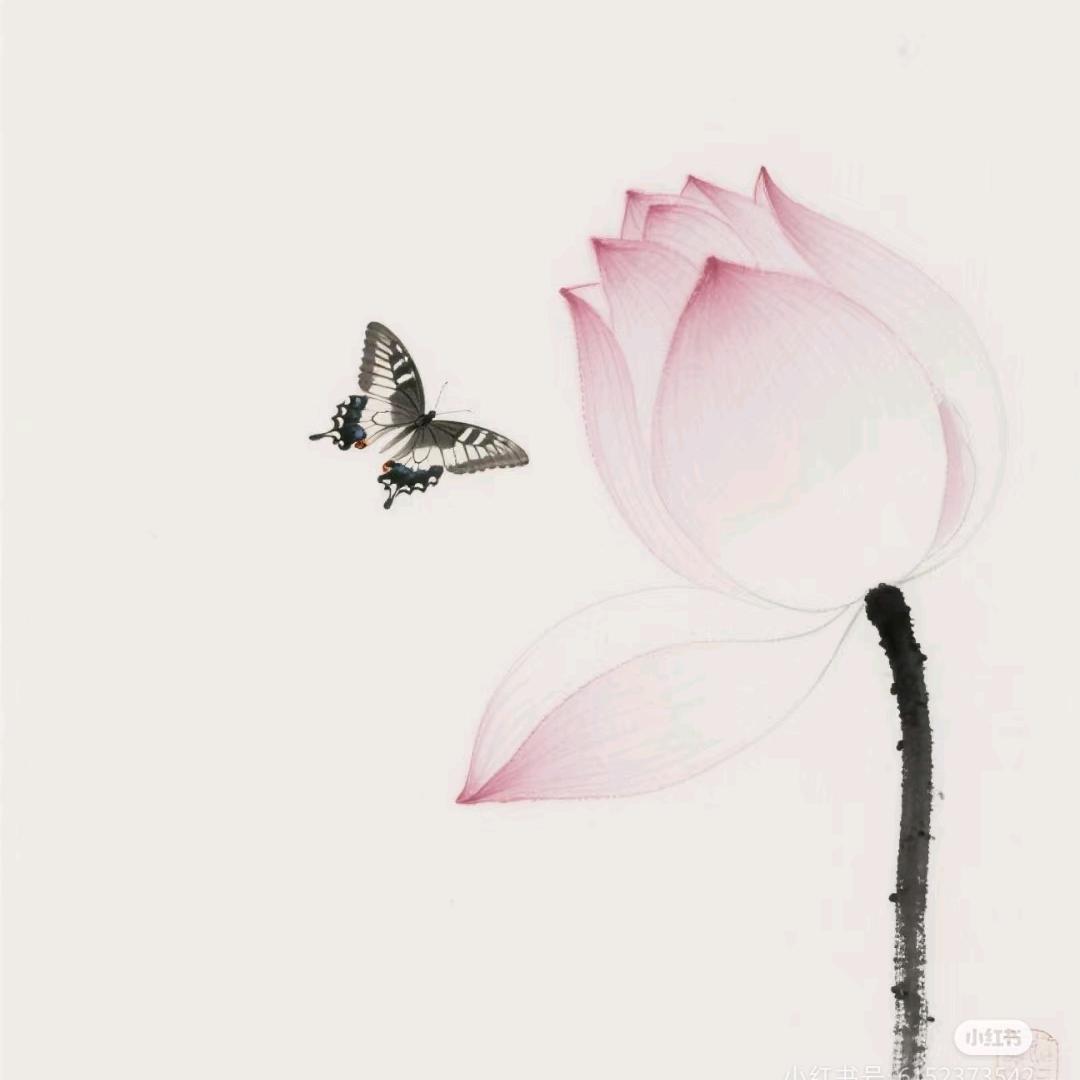 ✨ོ不 晚
